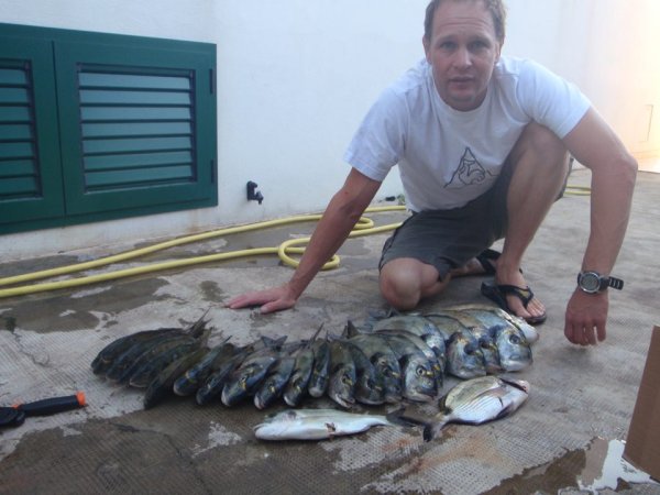 Mitja Vidovič - Galerija