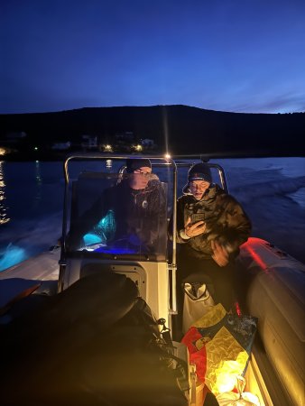 Jesenska Tjulnjiada 2025